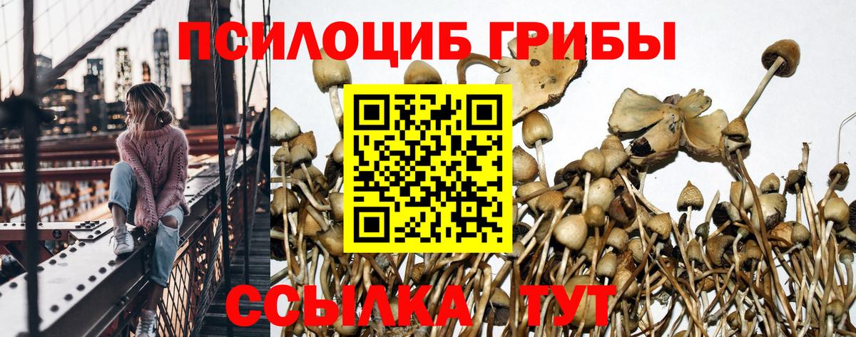 Костомукша  Галлюциногенные грибы GOLDEN TEACHER  Галлюциногенные грибы мухоморы  Вход с VPN 